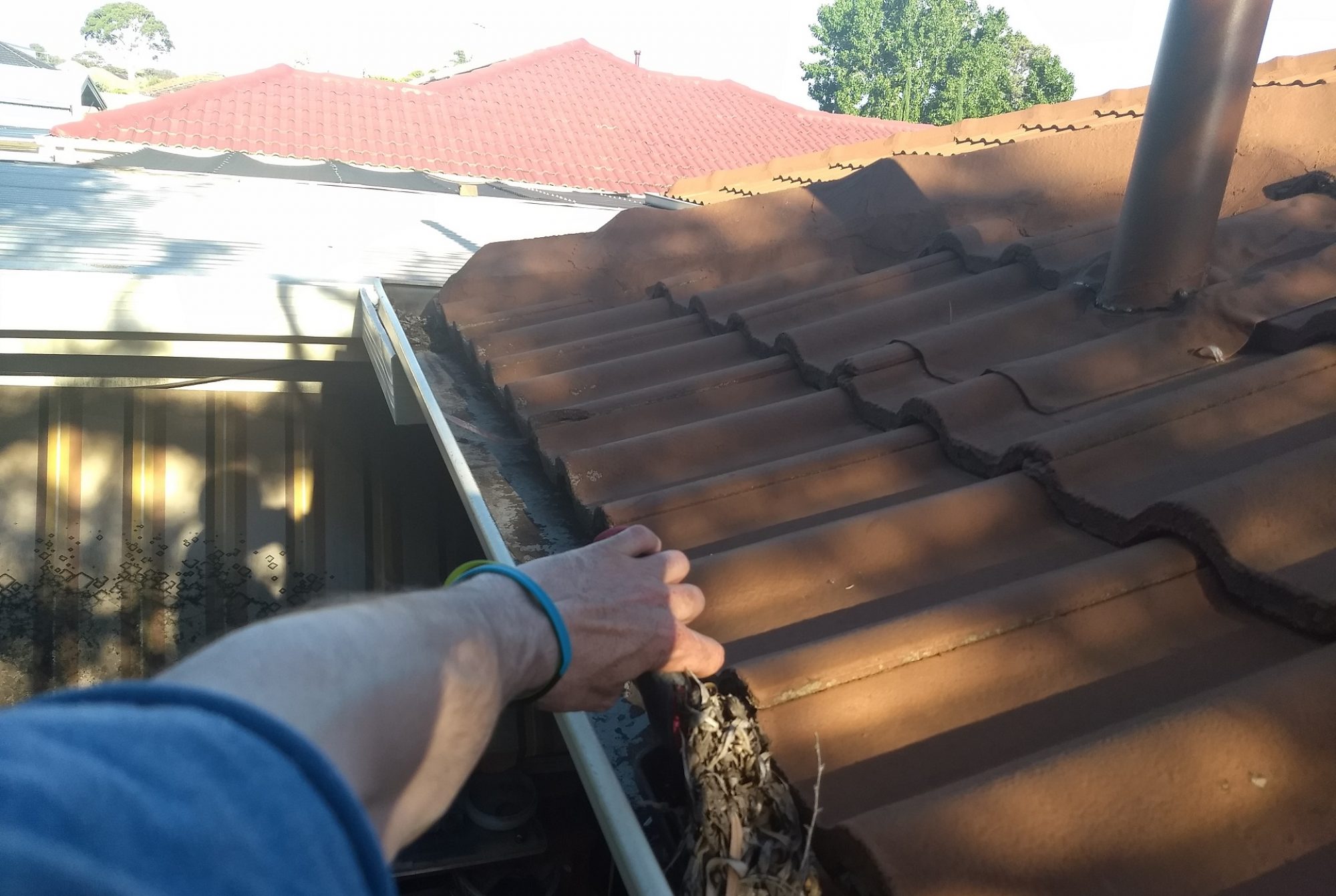 Adelaide Budget Cleaning